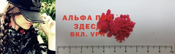ПСИЛОЦИБИНОВЫЕ ГРИБЫ Киреевск