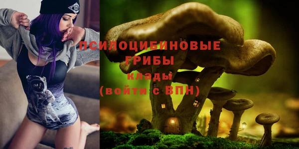 кокс Кинешма