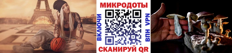 Купить закладки  Венёв  Галлюциногенные грибы Psilocybine cubensis 